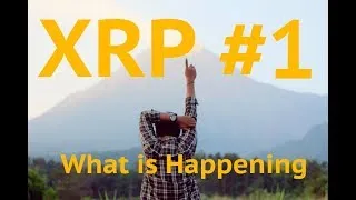 Ripple Amazon Trump XRP Plans within Plans - Monday Crypto Live w Kungfu