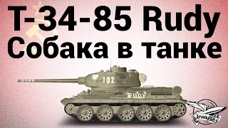 Т-34-85 Rudy - Собака в танке!