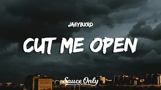 JaeyBxrd - cut me open (Lyrics)