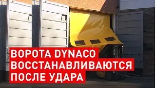 Скоростные ворота Dynaco - быстрые рулонные автоматические ПВХ завесы