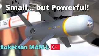 How Is Roketsan’s MAM-L Smart Micro Munition So Effective?