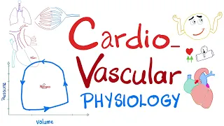 Cardiovascular Physiology, Pressure-Volume loops, Cardiac Cycle, ESV, EDV, SV, CO, Starling Law