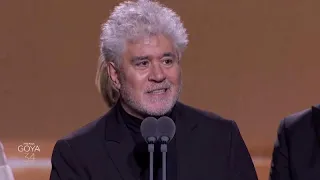 Le sacre de Pedro Almodovar pour "Douleur et gloire" aux Goya espagnols