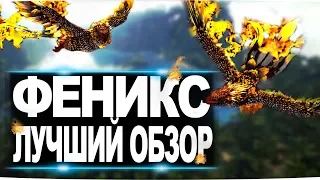 Феникс (Phoenix)  в АРК. Лучший обзор: приручение и способности  в ark.