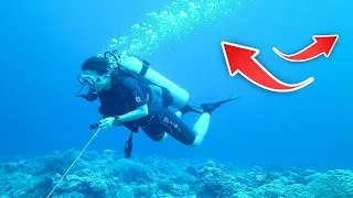 Breaking Down Expert Techniques for Diving in Currents