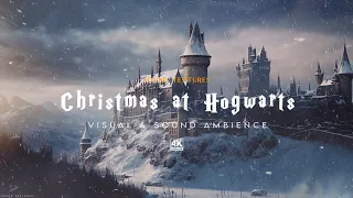 Snowy Christmas at Hogwarts | Harry Potter ASMR & Ambience | Then Music