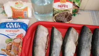 Как посолить сельдь в рассоле Вкусно и просто