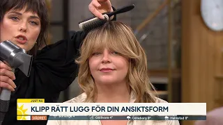 Luggen är stekhet igen – så tar du hand om den | Nyhetsmorgon | TV4 & TV4 Play