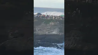 La Jolla Cove Surfer Skip McCullough catches Wave of the Day 🌊 🏄‍♂️ Dec 30, 2023