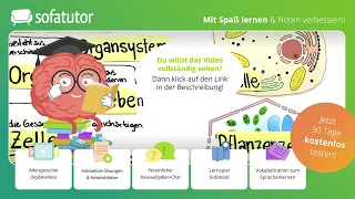 Zelldifferenzierung Biologie – Organisationsebenen von Tier- & Pflanzenzellen