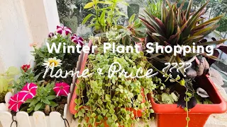 Winter Plant Shopping with Name and Price - 8//Seasonal Flowering and Permanent Plant Purchase👩‍🌾