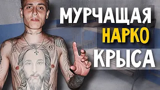 СОЛЕВАЯ МРАЗЬ | СКРЫСИЛ КОНВЕРТ С ДЕНЬГАМИ | ТЮРЕМНЫЕ ПОНЯТИЯ