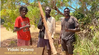 Yidaki Djäma: Didgeridoo Making | Homeland Dreaming Ep. 64