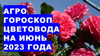 Агрогороскоп цветовода на июнь 2023 года. Агрогороскоп квітникаря на червень 2023 року