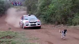 Rally Car Jumps Over Dog (with slow motion)
