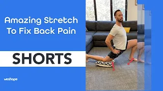 Amazing Stretch To Fix Back Pain #shorts