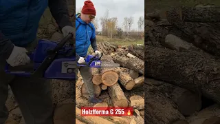 Holzfforma G 255 тест драйв