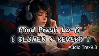 Mind Fresh Lofi [Slowed + Reverb ] | @AudioTrex9.3