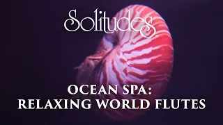 Dan Gibson’s Solitudes - Nautilus Dreams | Ocean Spa: Relaxing World Flutes