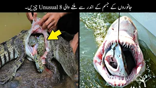 8 Unusual Things Found Inside Animals | جانوروں کے جسم سے ملنے والی عجیب چیزیں | Haider Tv