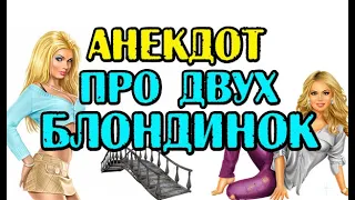 СМЕШНОЙ АНЕКДОТ ПРО ДВУХ БЛОНДИНОК. ШУТКА ДНЯ.