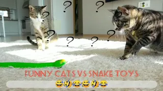 Funny Cats vs Snake toys Compilation