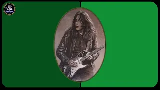 Rory Gallagher  Band  --  Live At The Bluesrock Festival * 1980