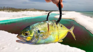 The CRAZIEST Thing I've EVER SEEN!!! (GIGANTIC Fish!)