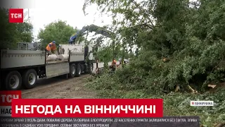 Негода на Вінничині: буревій валяв дерева, шифер літав, а городину потрощив град