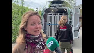 Nord flytter til Aalborg Zoo