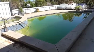 Swimming Pool to Natural Pond Conversion - Episode #1