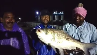 big Katla fish catching || wow amazing fishing video || Hyd Singh Shikar..