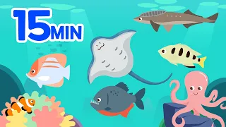 Sea Animal Song Compilation Part.2 🎵| 15 min Rhymes | For Kids | Kid's Educational Video Compilation