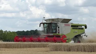 Moisson blé 2019 - Claas Lexion 760