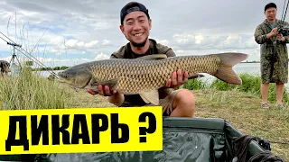 Дикая рыбалка за Талдыкорганом, рыбалка в Казахстане 2022, отличная рыбалка в кругу друзей