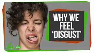 Why Humans Feel Disgust, and Why Other Animals Might Too