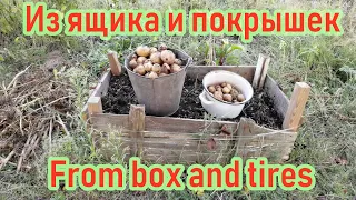 Potatoes from a box and tires