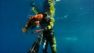 Spearfishing Croatia Mix 8