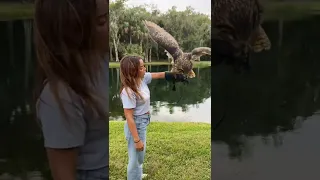 Flying the SECOND LARGEST Owl in the World!!!