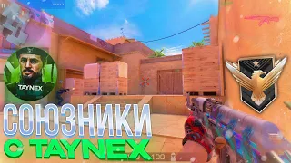 Унижаем противников с taynex!😋 | Standoff 2