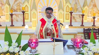 Holy Mass May  27 Monday    I 5.30 AM I Malayalam I Syro Malabar I Fr Bineesh Augustine