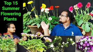 15 Eazy Heavy Flowering Plants You Must Grow ~ सालभर फूलों से लदे रहते हैं मेरे गार्डन के ये पौधे