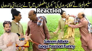 Reaction Pak boy Chaudhry Saleem ki Fasal main Goga Pasroori ki Bakkri aa gai funny fighting