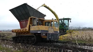 Morooka MST 2200 & JD 8600i Working Hard in The Mud During Corn / Maize Chopping | Häckseln 2017