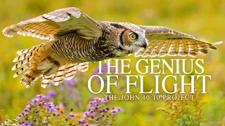 THE GENIUS OF FLIGHT