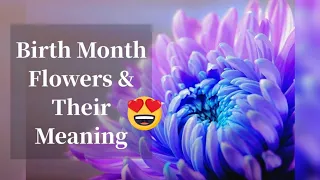 🌹🌹Birth Flowers By Month And Meaning | What’s Your Birth Flower Says About You🌷🌷