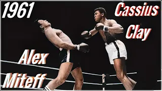 Hometown Brawl / Muhammad Ali vs Alex Miteff