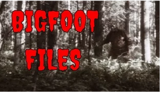 Bigfoot Files