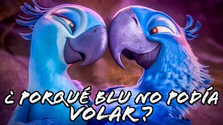 | ¿Porqué Blu No Podía Volar? | TEORÍA DE RÍO |