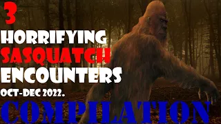 Top 3 SASQUATCH ENCOUNTERS from October - December 2022 COMPILATION